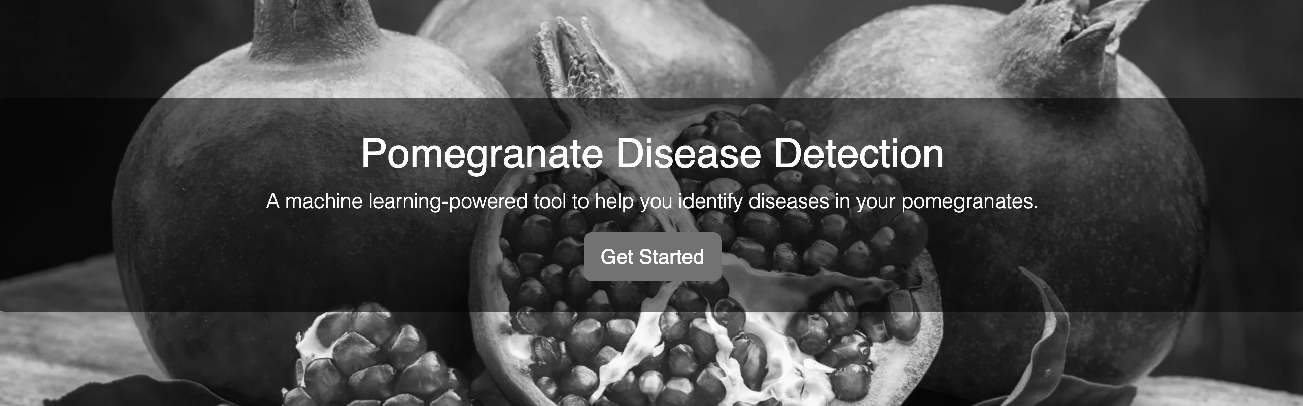 Pomegranate Disease Detection Screenshot