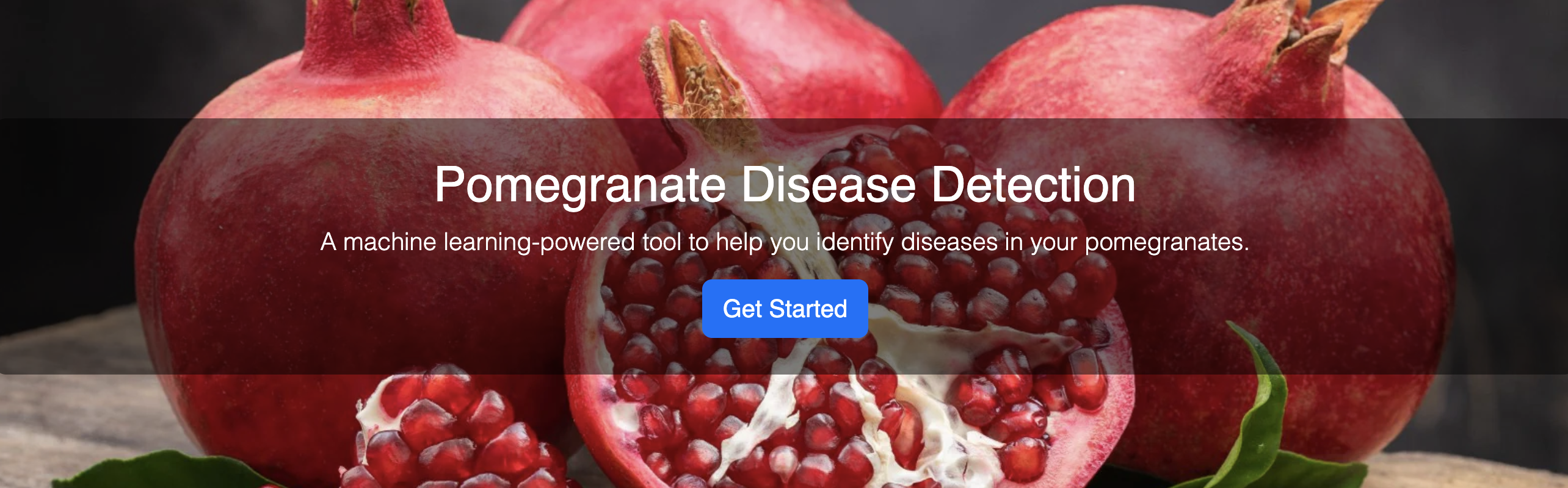 Pomegranate Disease Detection Screenshot Color
